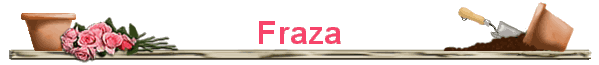 Fraza